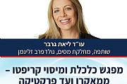 כלכלת ומיסוי קריפטו - מאקרו ועד פרקטיקה