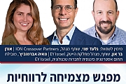 מצמיחה לרווחיות