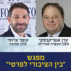 בין הציבורי לפרטי (הגדל)