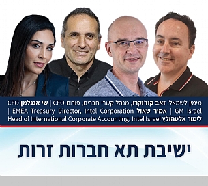 השתלבות הפייננס בתהליך הפיתוח (הגדל)