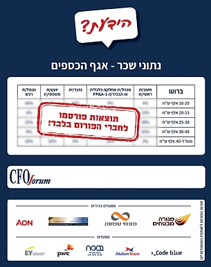 מחלקת הכספים: תנאי העסקה, עלויות: יועצים, ספקים ודירקטורים, ופרודוקטיביות העבודה מהבית (הגדל)