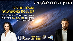 פרק 6 - הובלת תהליכי Roll Up כאסטרטגיה (הגדל)
