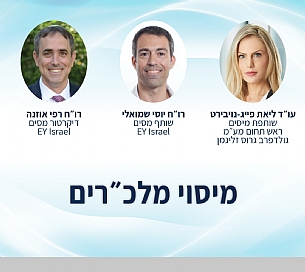 מיסוי מלכ"רים- החוזרים האחרונים ושומות מיסוי ישיר ועקיף (הגדל)