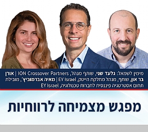 מצמיחה לרווחיות (הגדל)