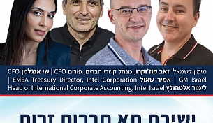 השתלבות הפייננס בתהליך הפיתוח.